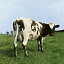 ͢סAtom Heart Mother [ Pink Floyd ]