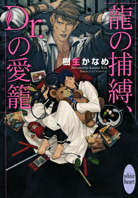 不夜城に君臨する眞鍋組二代目組長・橘高清和を狙う美女軍団から逃れるため、氷川は可愛い年下の恋人・清和と新婚旅行＆神頼みの伊勢参りをしていた。楽しい旅行のはずが、次々起こるトラブルに事件。おまけに氷川の目の前で清和が警察に連行されてしまう。清和くんは僕が守ってみせる！そう決意して立ち上がったはずの氷川だが、なぜか監禁されてしまい！？