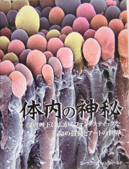 今まで見たことのない人体の実像を目にする時がきました。最新の画像技術で「インサイド・ボディ（体内）」を冒険し、人体の驚くべき仕組みを発見しましょう。画像が導くこの旅は、生命という構造体を形成する小さな基本単位「細胞」から始まります。まずは何千倍にも拡大された赤血球が織りなす、驚くべき模様を目にします。次に皮膚という壮大な建築物や、体内器官のネットワークを形成する複雑な内臓の実態が、驚異的な画像によって明かされます。そして最後に、脳や神経をとりまく神秘的な世界が姿を現します。画期的なこれらの画像には、撮影方法や何を表わすかなどについて解説がそえられ、本書をまさに他に類をみない参考文献に仕上げています。