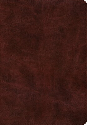 ESV Super Giant Print Bible (Trutone, Burgundy) ESV SUPER GP BIBLE (TRUTONE BU [ ー ]