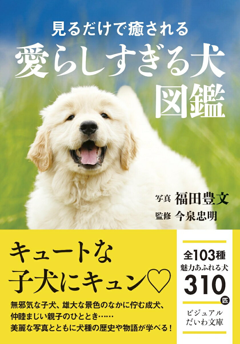 思わず見とれる１０３種の犬をオールカラーで紹介。人気の犬種から国内では珍しい犬、堂々とした佇まいの日本犬まで、見ごたえ満点！それぞれの犬種の歴史や物語と愛さずにいられない子犬の姿も必見です。ぜひ、あなたの運命の犬を探してみてください。