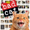 Bad Cat Wall Calendar 2024: Celebrating the Misfits of the Feline World BAD CAT ...