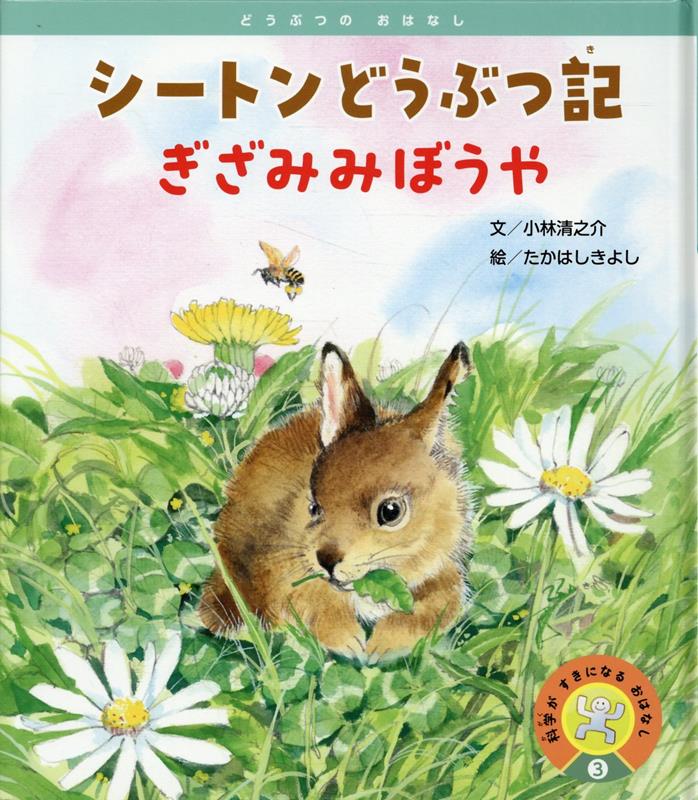 シートンどうぶつ記　ぎざみみぼうや