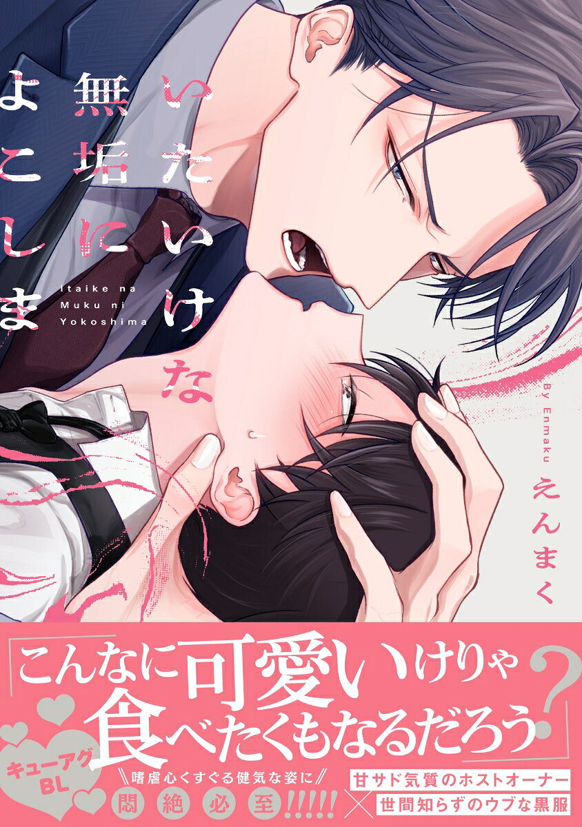 いたいけな無垢によこしまの表紙