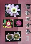 雪割草全集　2