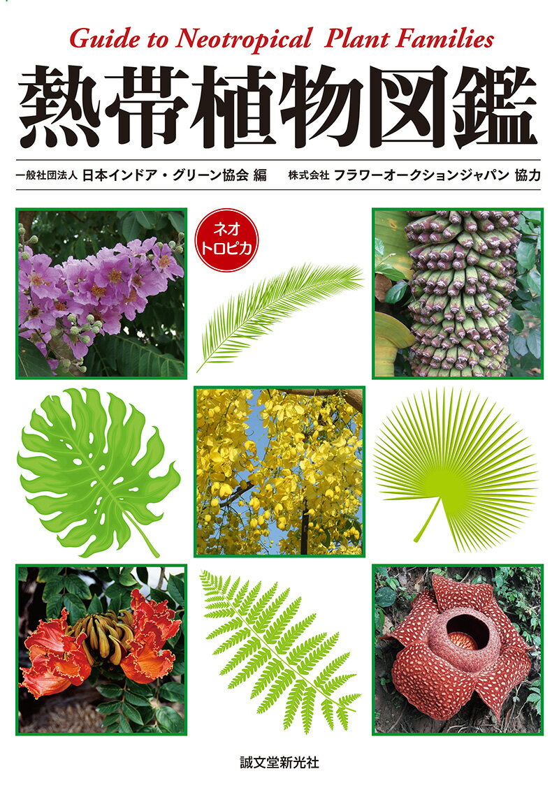 Guide to Neotropical Plant Families 一般社団法人 日本インドア・グリーン協会 誠文堂新光社ネッタイショクブツズカン イッパンシャダンホウジン ニホンインドアグリーンキョウカイ 発行年月：2020年08月11日 予約締切日：2020年06月23日 ページ数：336p サイズ：単行本 ISBN：9784416918852 第1章　シダ植物／第2章　裸子植物／第3章　被子植物／初期に分岐した系統（基部被子植物）／第4章ー1　被子植物／単子葉類／第4章ー2　被子植物／単子葉類／ツユクサ類／第5章　被子植物／真正双子葉類／第6章　被子植物／真正双子葉類／バラ上群／第7章　キク上類 本 ビジネス・経済・就職 産業 農業・畜産業 美容・暮らし・健康・料理 ガーデニング・フラワー 花 美容・暮らし・健康・料理 ガーデニング・フラワー 観葉植物・盆栽