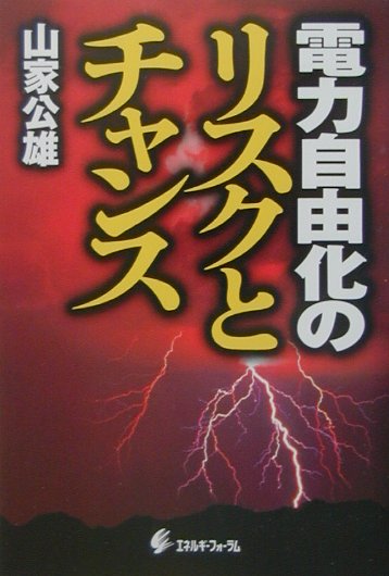 電力自由化のリスクとチャンス