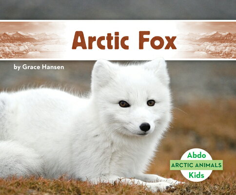 Arctic Fox ARCTIC FOX （Arctic Animals） [ Grace Hansen ]