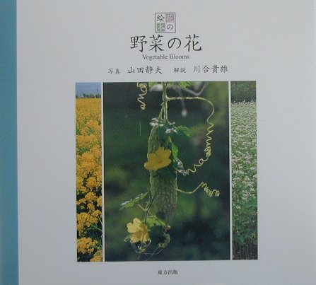 Agriculture - 野菜の花 （花の絵本） [ 山田静夫 ]