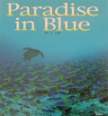 Paradise@in@blue cΎʐ^W [ c ]