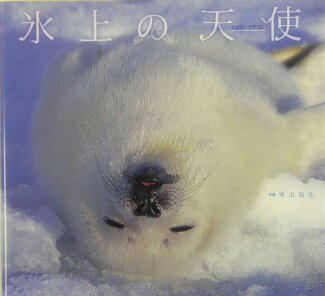 氷上の天使 タテゴトアザラシの表紙