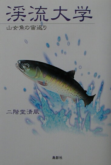 渓流釣り四十有余年・ヤマメ釣り名人の秘技を伝授する、上級者向き実践大学。