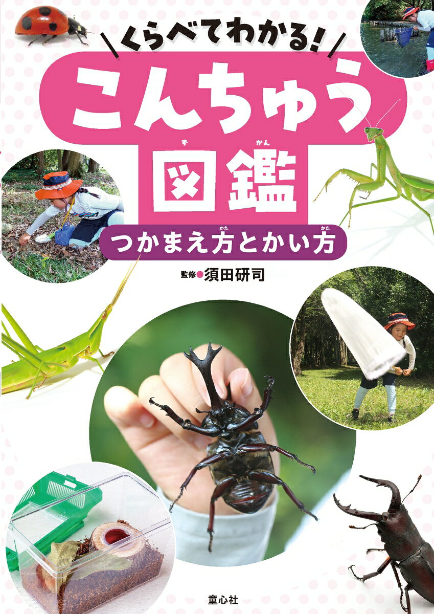 くらべてわかる！こんちゅう図鑑 つかまえ方とかい方（第1巻）