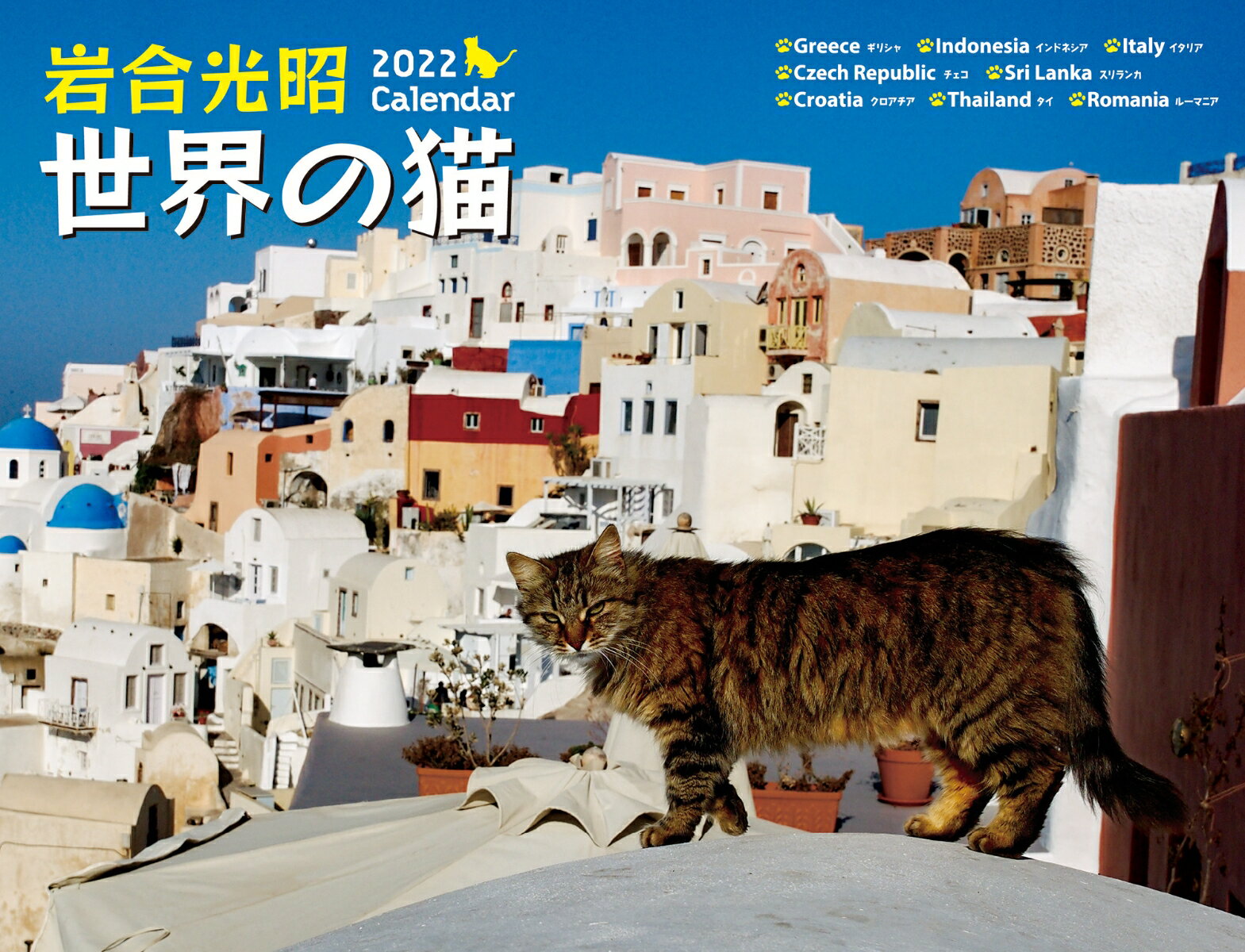 2022 岩合光昭　世界の猫カレンダー [ 岩合光昭 ]