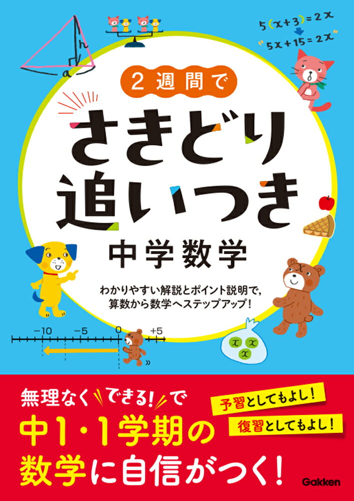 2週間でさきどり追いつき 中学数学