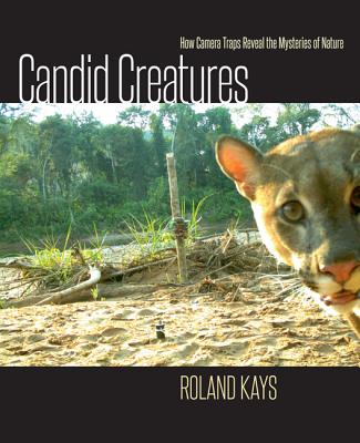 Candid Creatures: How Camera Traps Reveal the Mysteries of Nature CANDID CREATURES [ Roland Kays ]