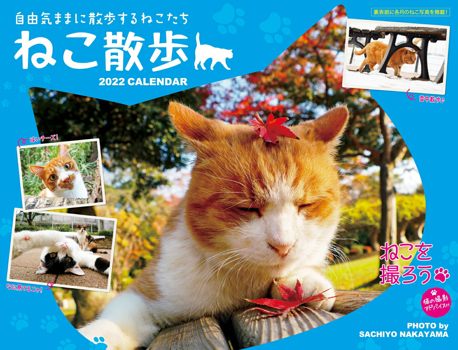 2022 中山祥代ねこ散歩カレンダー