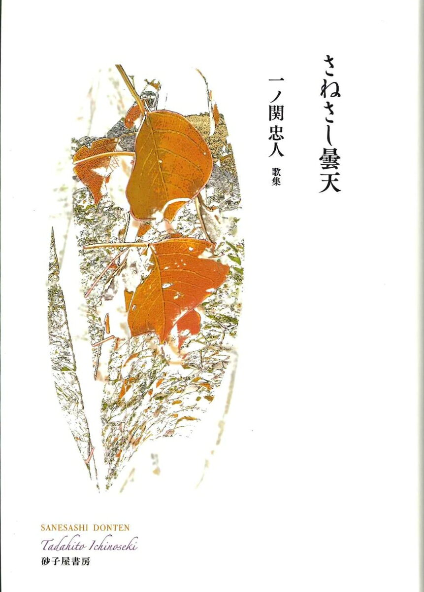 この時期はまさか三度目の悪性リンパ腫があるとも思わず、半分楽天的に暮らしていた。とはいえ、この間の空は曇天であったような日々でもあった。ただ、短歌は、私に、ある自由をあたえてくれた。（一ノ関忠人・本書「あとがき」より）