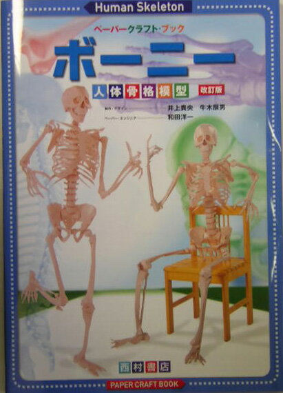 ボーニー改訂版 人体骨格模型 （ペ