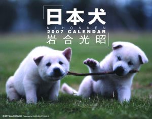 日本犬　2007［カレンダー］
