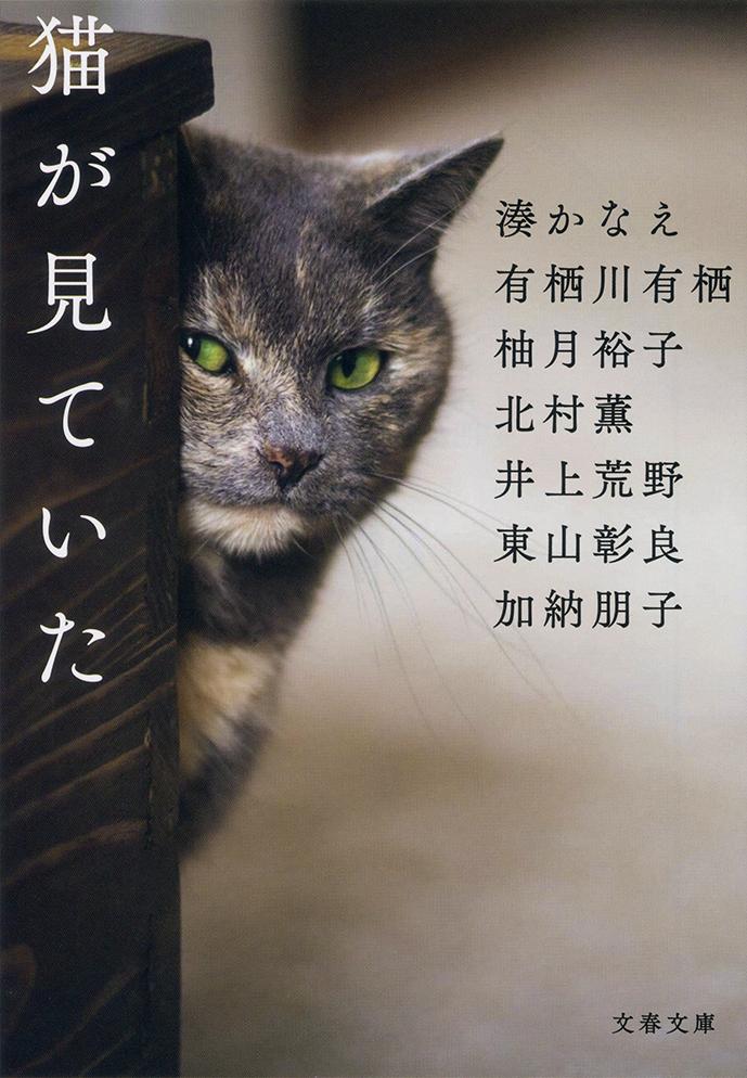 猫が見ていた