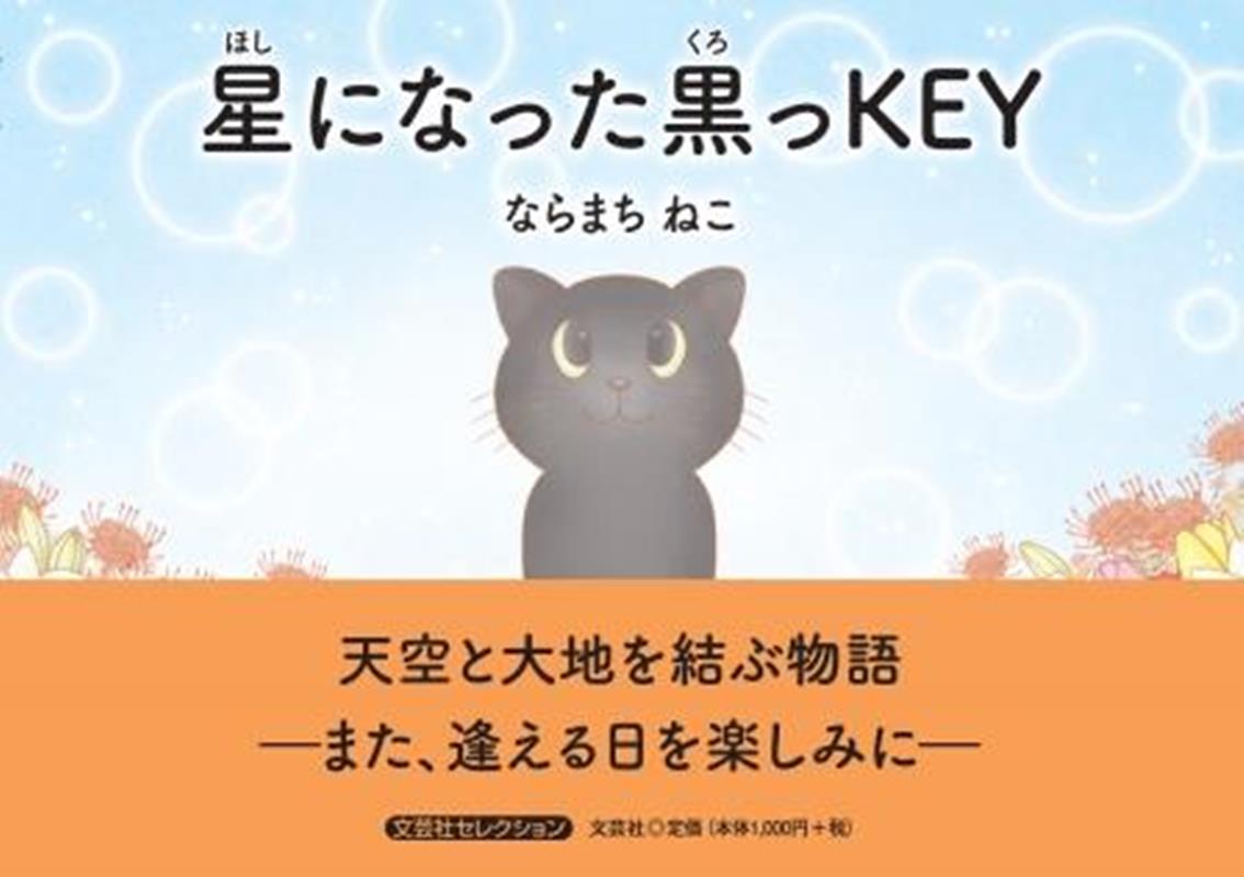 星になった黒っKEY