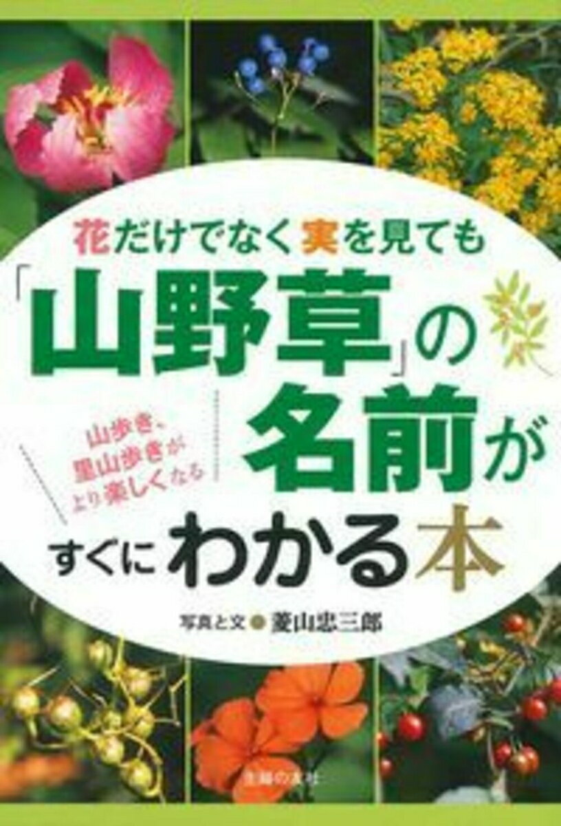 花だけでなく実を見ても「山野草」の名前がすぐにわかる本
