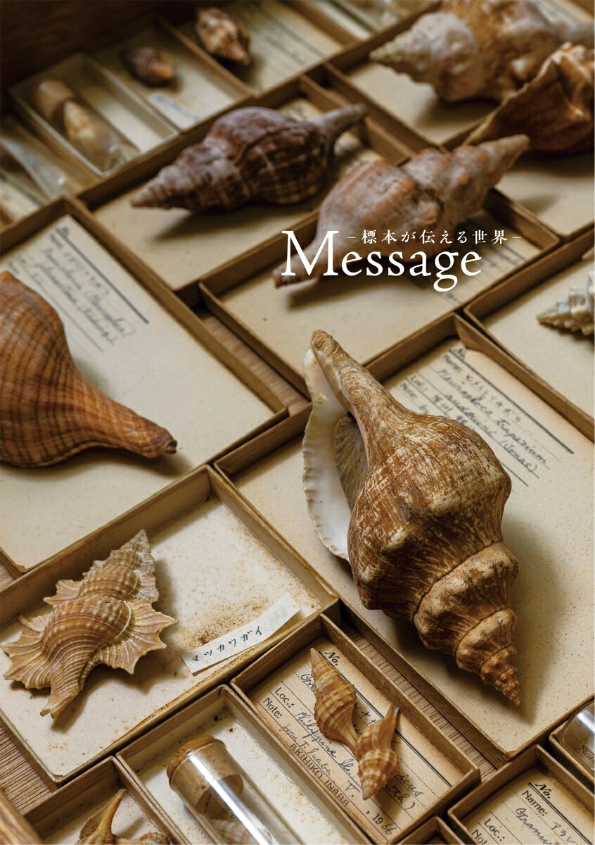 Message　―標本が伝える世界－ : 広島大学総合博物館２０周年記念図録 書影
