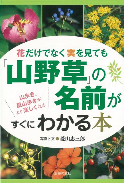 【バーゲン本】花だけでなく実を見ても山野草の名前がすぐにわかる本