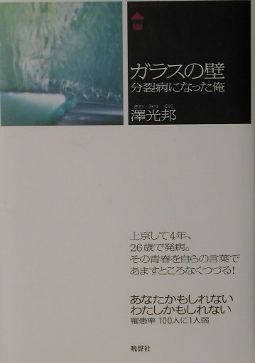 上京して４年、２６歳で発病。その青春を自らの言葉であますところなくつづる！あなたかもしれない、わたしかもしれない。罹患率１００人に１人弱。