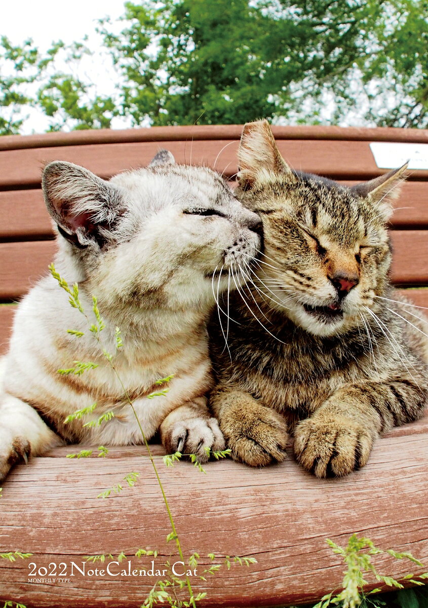 2022 ノートカレンダー　ねこ