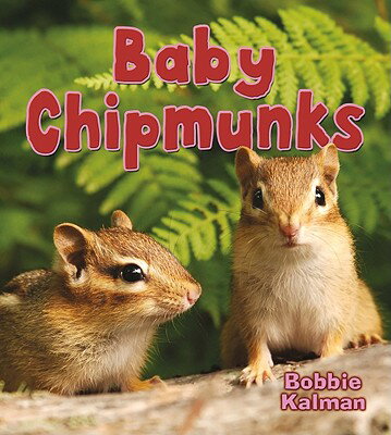 Baby Chipmunks BABY CHIPMUNKS （It's Fun to Learn about Baby Animals） 