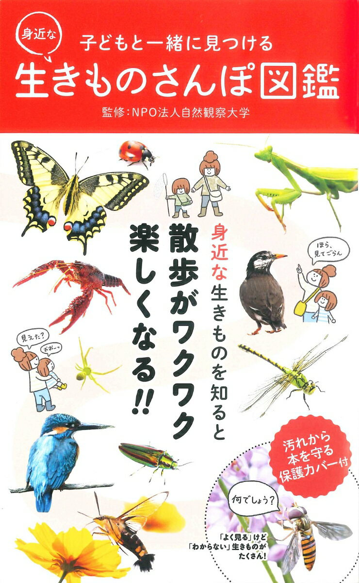 子どもと一緒に見つける　身近な生きものさんぽ図鑑 [ NPO法人自然観察大学 ]