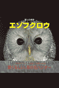 エゾフクロウ