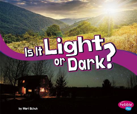 Is It Light or Dark? IS IT LIGHT OR DARK （Let's Look at Light） 