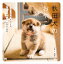 秋田犬のおやこ 1,404円