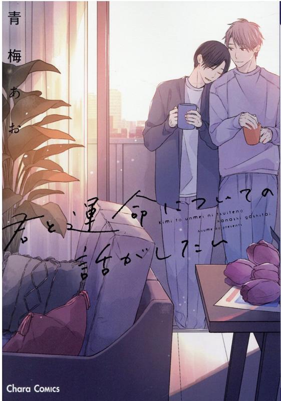君と運命についての話がしたい 表紙