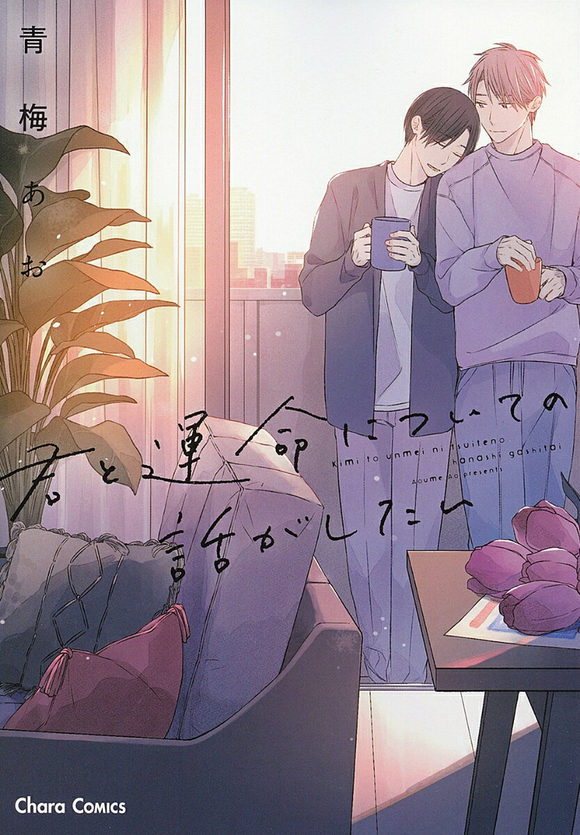 君と運命についての話がしたい 表紙