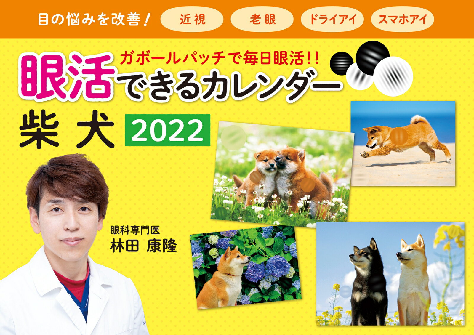 2022 眼活できるカレンダー　柴犬