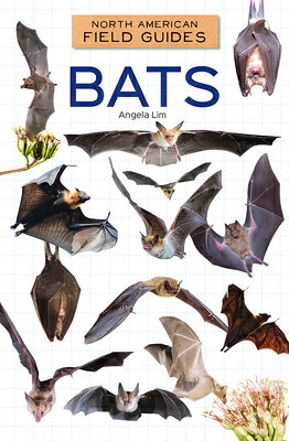 Bats BATS （North American Field Guides Set 4） 