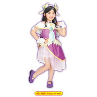 変身プリチューム キュアアース なりきりセットの画像