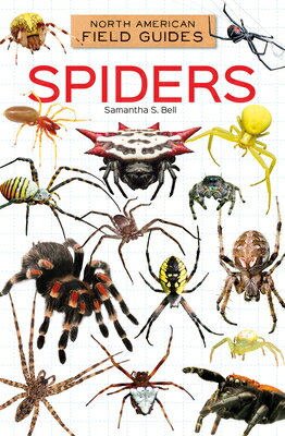Spiders SPIDERS （North American Field Guides Set 4） [ Samantha S. Bell ]