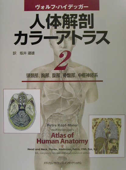 ヴォルフーハイデッガー人体解剖カラーアトラス（2）
