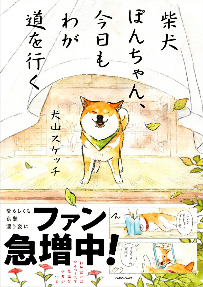 柴犬ぽんちゃん、今日もわが道を行く [ 犬山　スケッチ ]
