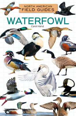 Waterfowl WATERFOWL （North American Field Guides Set 4） [ Carol Hand ]