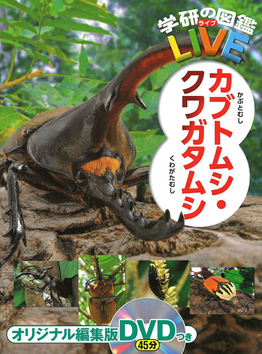 【楽天ブックスならいつでも送料無料】カブトムシ・クワガタムシ （学...