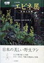 エビネ属 形態と分類 （原種ランシリ-ズ） 唐沢耕司