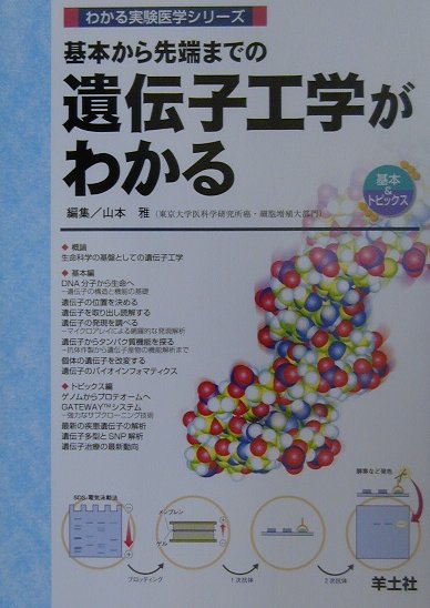 基本から先端までの遺伝子工学がわかる（WJ6）