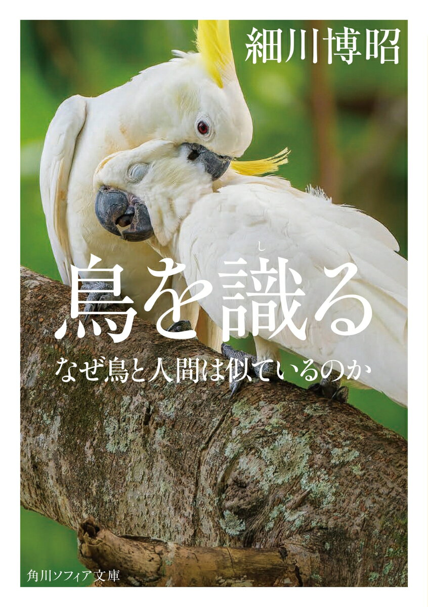 鳥を識る なぜ鳥と人間は似ているのか