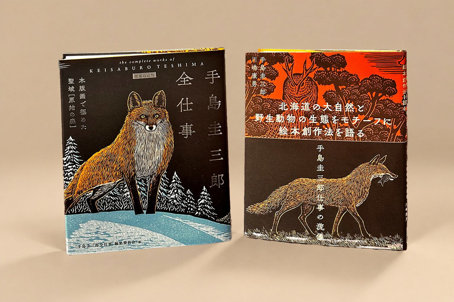 手島圭三郎 作品と創作の軌跡 2冊セット